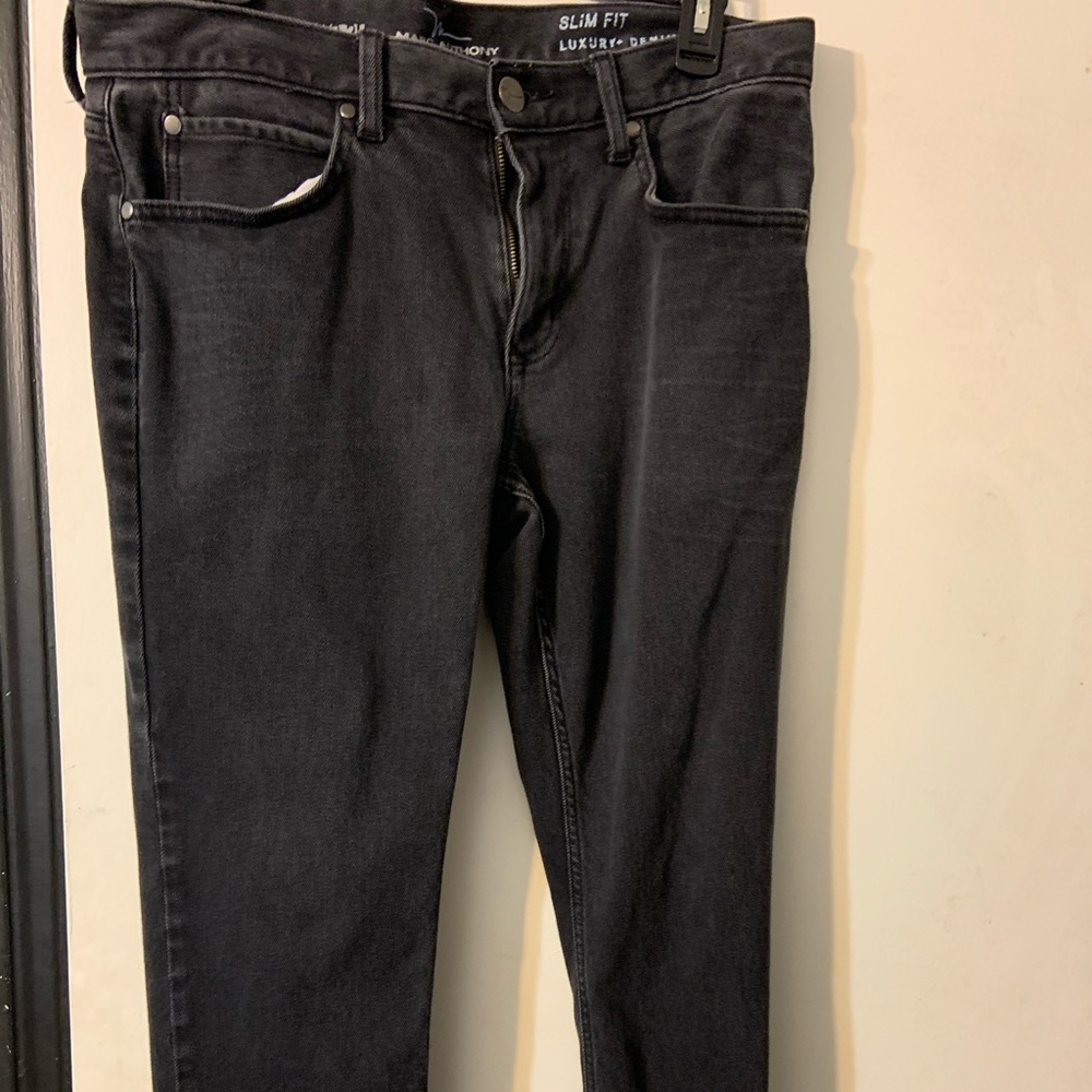 Marc Anthony Jeans